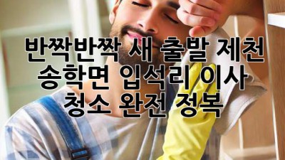 ✨반짝반짝 새 출발! 제천 송학면 입석리 이사 청소 완전 정복✨